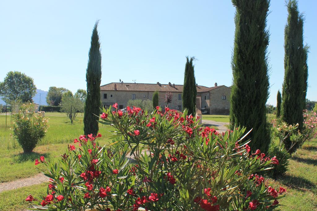 Il Grifone A Cortona Residence 외부 사진