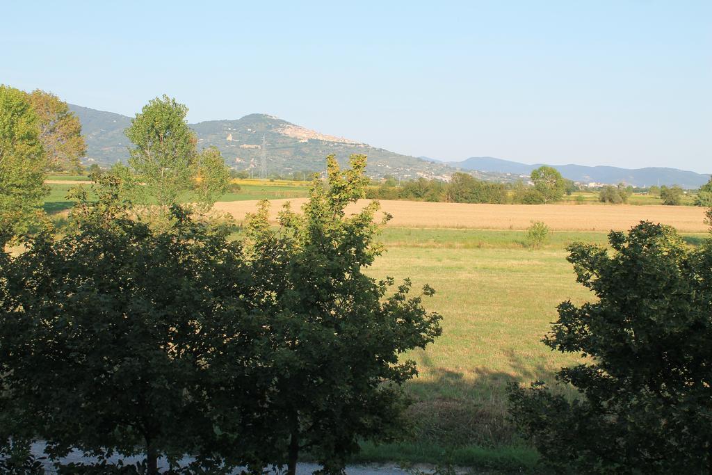 Il Grifone A Cortona Residence 외부 사진