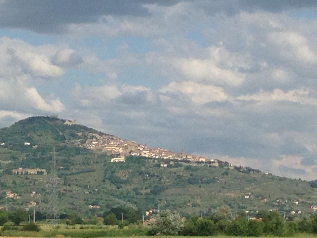 Il Grifone A Cortona Residence 외부 사진