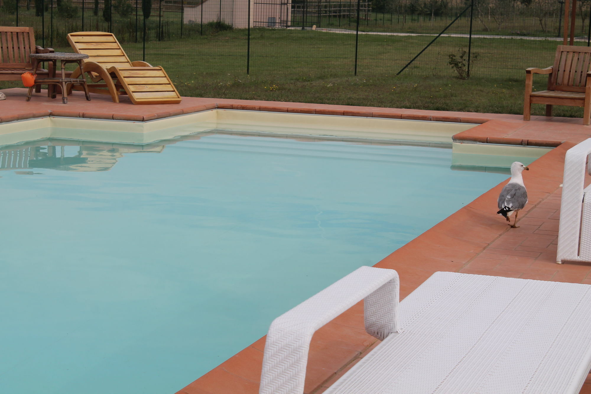 Il Grifone A Cortona Residence 외부 사진